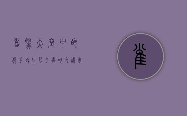 雀鹰，天空中的猎手与生态平衡的守护者