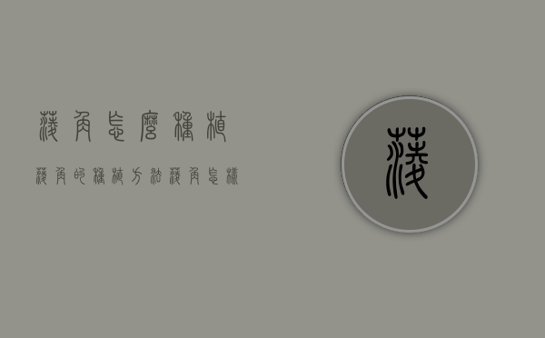菱角怎么种植？菱角的种植方法（菱角怎样种植及收获视频播放教程）