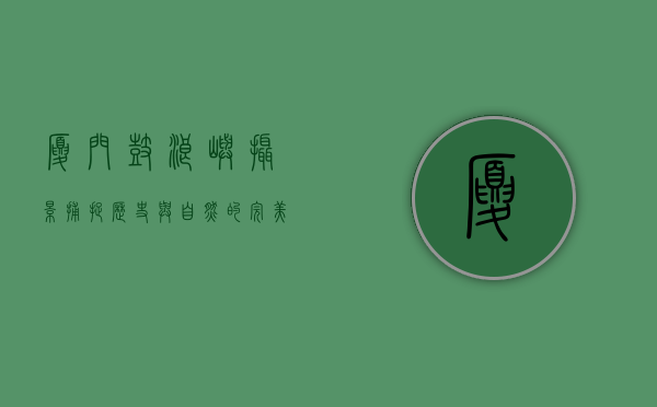 厦门鼓浪屿摄影，捕捉历史与自然的完美交融
