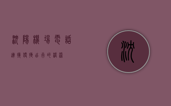 沈阳机场电话，连接便捷出行的桥梁