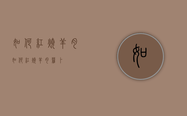 如何红烧羊肉（如何红烧羊肉萝卜）