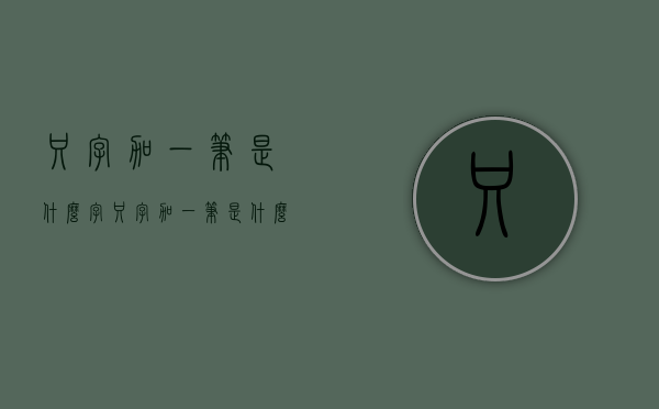 只字加一笔是什么字（只字加一笔是什么字有哪些字）