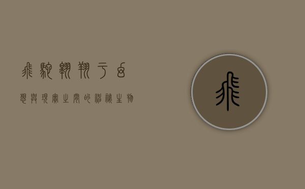 飞鸵，翱翔于幻想与现实之间的神秘生物