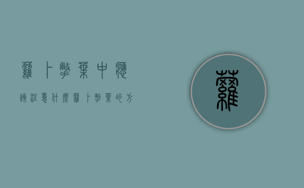 萝卜撇叶中应该注意什么？萝卜撇叶的方法及注意事项！（萝卜叶子怎么做好吃有什么营养）