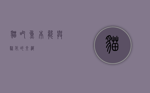 猫吃鱼，本能与驯化的交织
