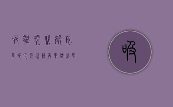 吸猫，现代都市人的心灵慰藉与生活哲学