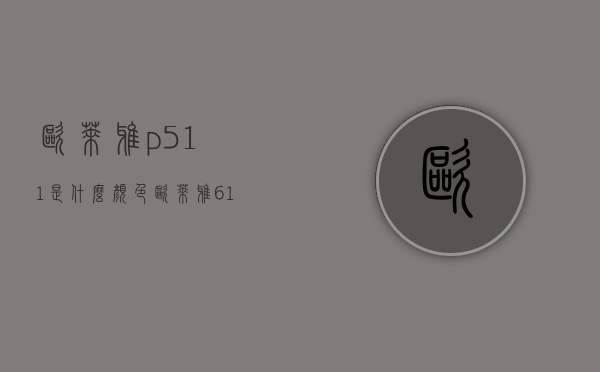 欧莱雅p511是什么颜色（欧莱雅619是什么颜色）