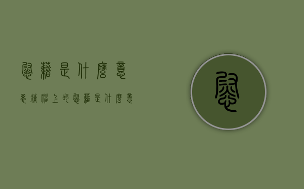 慰藉是什么意思（精神上的慰藉是什么意思）