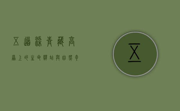 五道梁，青藏高原上的生命驿站与自然奇观