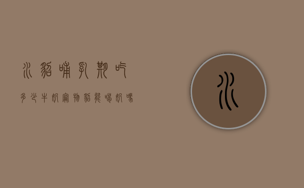 水貂哺乳期吃多少牛奶（宠物貂能喝奶吗）