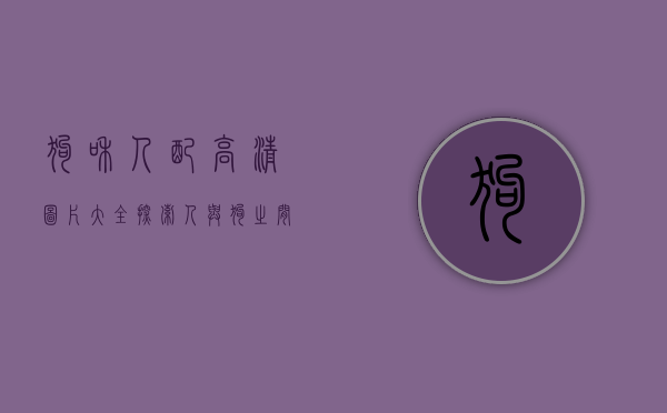 狗和人配高清图片大全，探索人与狗之间的深厚情感与美好瞬间