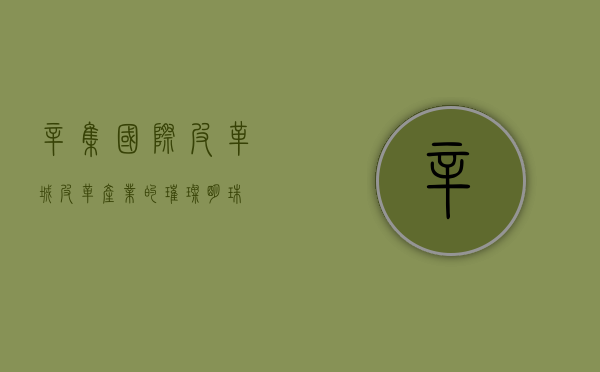 辛集国际皮革城，皮革产业的璀璨明珠