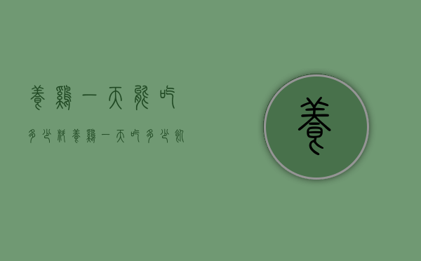 养鸡一天能吃多少料（养鸡一天吃多少饲料）