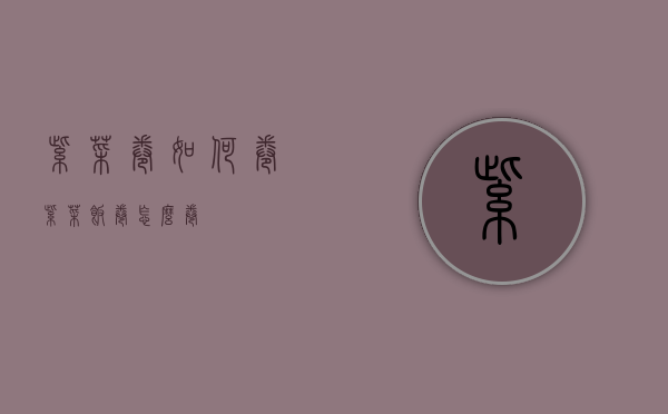 紫菜卷如何卷（紫菜饭卷怎么卷）