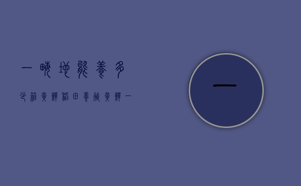 一亩地能养多少箱黄鳝（稻田养殖黄鳝一亩能养多少）