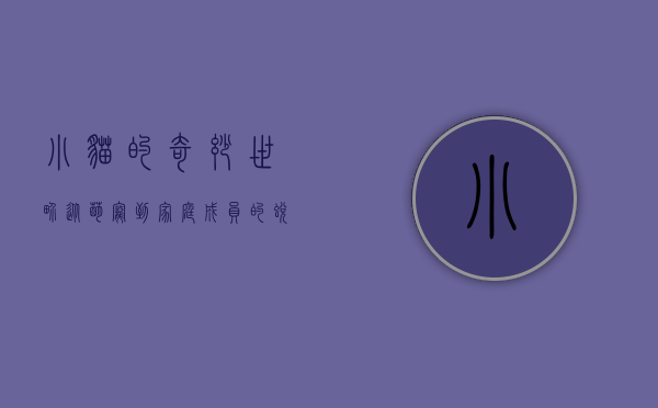 小猫的奇妙世界，从萌宠到家庭成员的蜕变