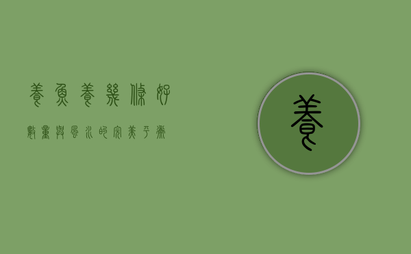 养鱼养几条好，数量与风水的完美平衡