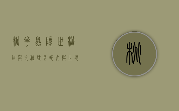 桃花岛，隐世桃源与武侠传奇的交织之地