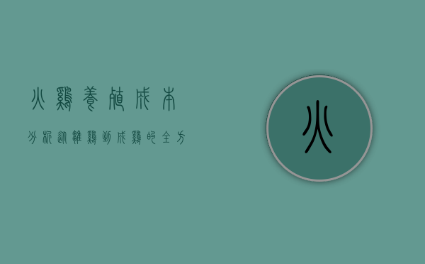 火鸡养殖成本分析，从雏鸡到成鸡的全方位经济考量