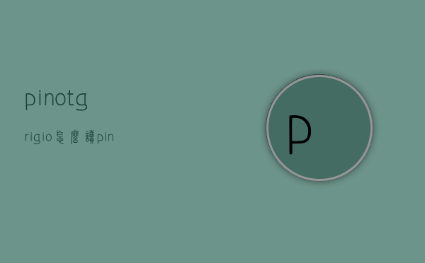 pinotgrigio怎么读（pinno怎么读）