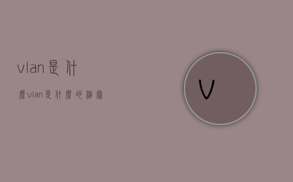 vlan是什么（vlan是什么的缩写）