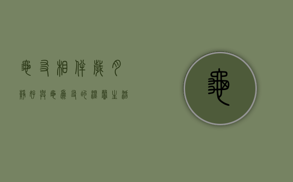 龟友相伴，岁月静好—与龟为友的温馨生活