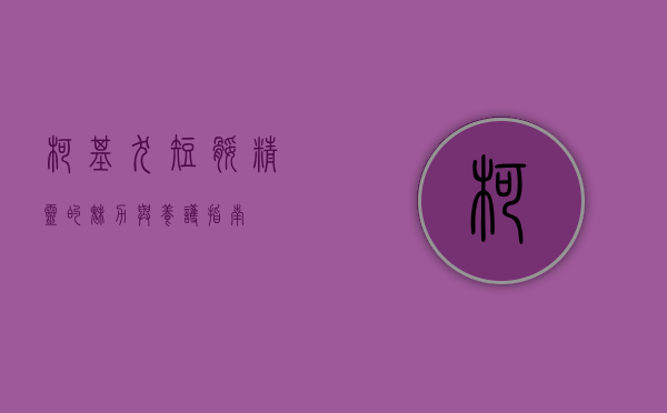 柯基犬，短腿精灵的魅力与养护指南