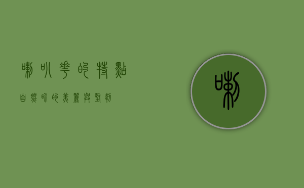 喇叭花的特点，自然界的美丽与坚韧
