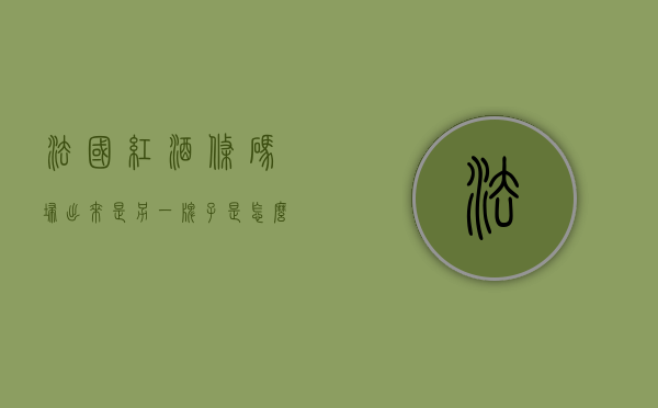 法国红酒条码扫出来是另一牌子是怎么回事（法国酒条码开头）