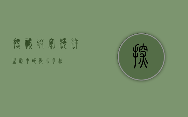 探秘虾窝，海洋生态中的微小奇迹