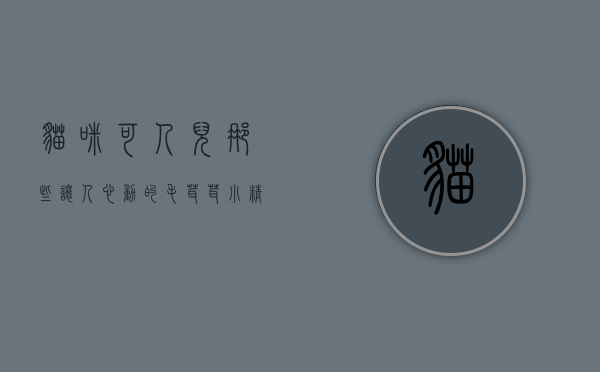 猫咪可人儿，那些让人心动的毛茸茸小精灵
