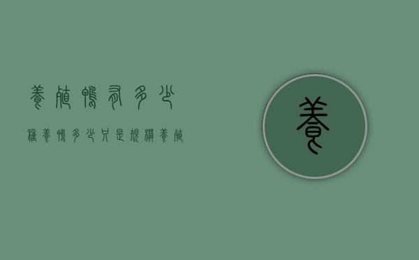 养殖鸭有多少种（养鸭多少只是规模养殖）