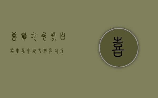 喜鹊的叫声，自然之声中的吉祥与启示