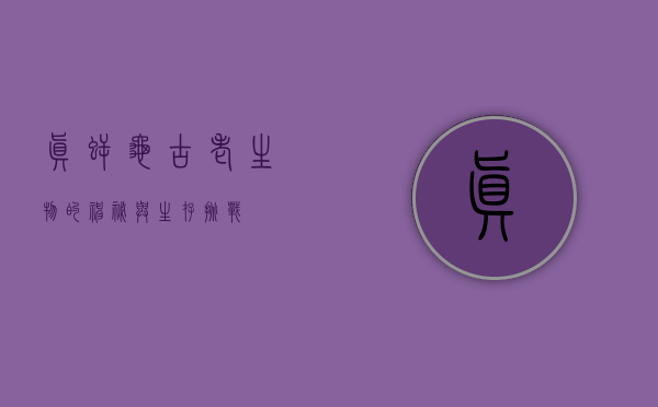 真鳄龟，古老生物的神秘与生存挑战