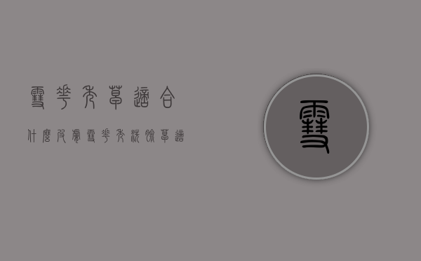 雪花秀皂适合什么皮肤（雪花秀洗脸皂适合人群）