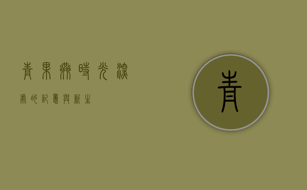 青果巷，时光深处的记忆与新生