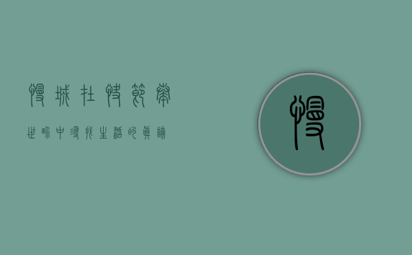 慢城，在快节奏世界中寻找生活的真谛