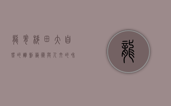龙脊梯田，大自然的雕刻艺术与人文的和谐交响
