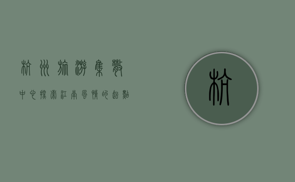 杭州旅游集散中心，探索江南风情的起点与枢纽