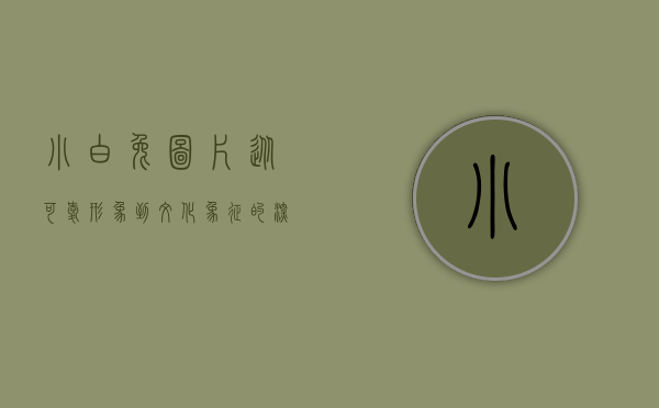 小白兔图片，从可爱形象到文化象征的深度解读