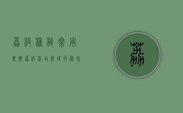荔枝种植常用农药（荔枝栽培管理技术和病虫害）