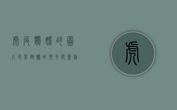 虎皮鹦鹉的图片，色彩斑斓的羽毛与灵动的生命之美