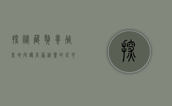 探秘藏獒养殖基地，守护高原精灵的匠心与传承