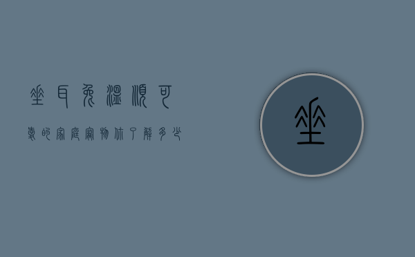 垂耳兔，温顺可爱的家庭宠物，你了解多少？