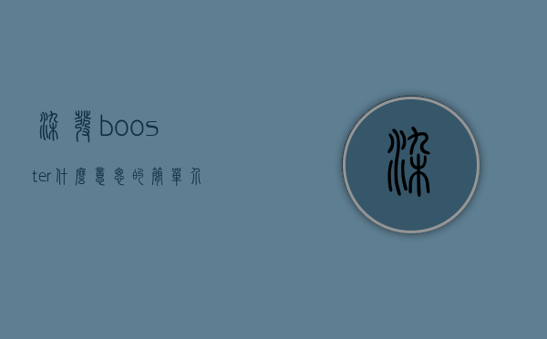 染发booster什么意思的简单介绍