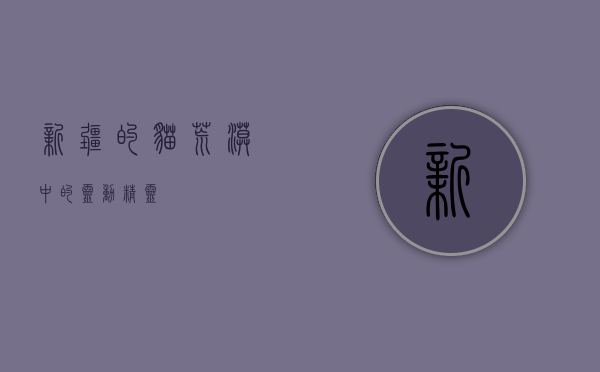 新疆的猫，荒漠中的灵动精灵