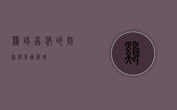 鸡球虫病的防治与养殖管理