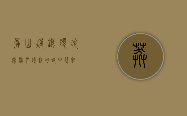 莽山烙铁头蛇，神秘而珍稀的蛇中熊猫