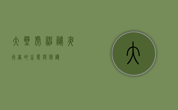 大壁虎，神秘夜行者的生态与保护