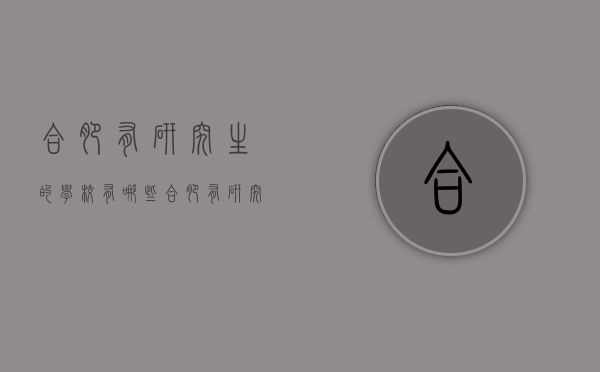 合肥有研究生的学校有哪些（合肥有研究生的学校有哪些专业）